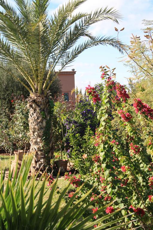 Bed and Breakfast Terra Mia Marrakech Ouled Jelal Exterior foto