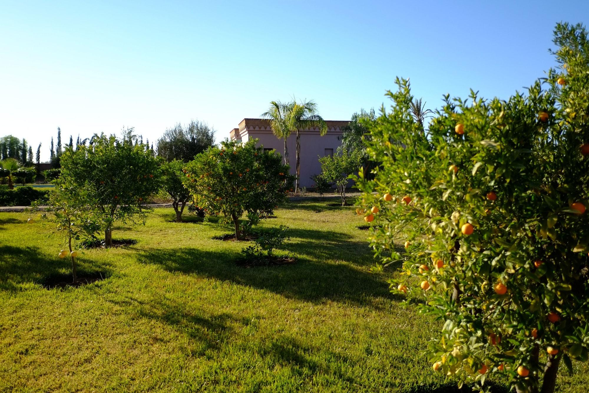 Bed and Breakfast Terra Mia Marrakech Ouled Jelal Exterior foto